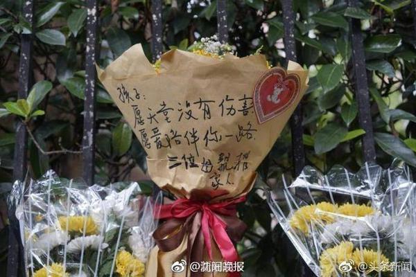 文胖：我对雄鹿目前处境不太看好 他们还没得到字母哥的留队承诺